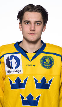 Joel Nyström of the Swedish under-20 national ice hockey