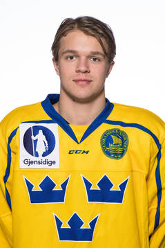 Måns Forsfjäll of the Swedish under-20 national ice