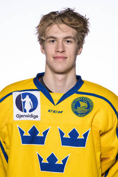Simon Edvinsson of the Swedish under-20 national ice hockey