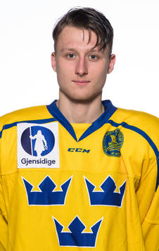 Oskar Magnusson of the Swedish under-20 national ice hockey
