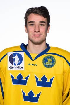 Daniel Torgersson of the Swedish under-20 national ice