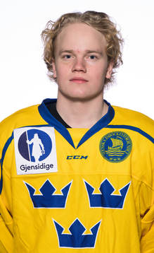 Theodor Niederbach of the Swedish under-20 national ice