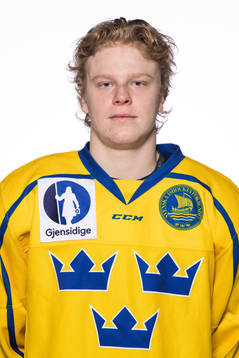 Åke Stakkestad of the Swedish under-20 national ice hockey