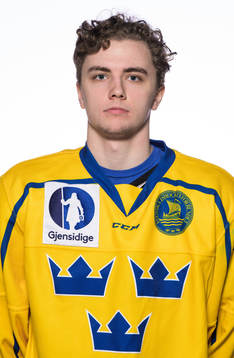 Elias Stenman of the Swedish under-20 national ice hockey