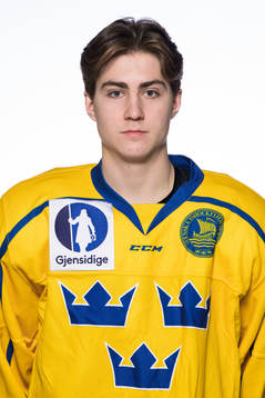 Daniel Ljungman of the Swedish under-20 national ice hockey