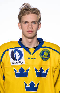 Albert Sjöberg of the Swedish under-20 national ice hockey