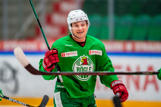 Rögles Leon Bristedt