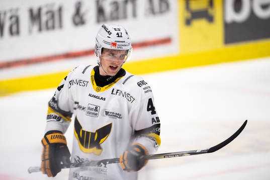 Västerås Logan Roe