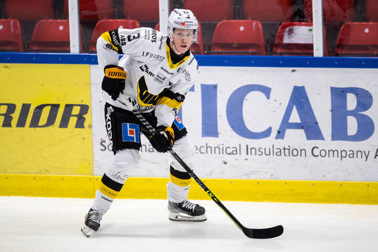Västerås Ludvig Östman