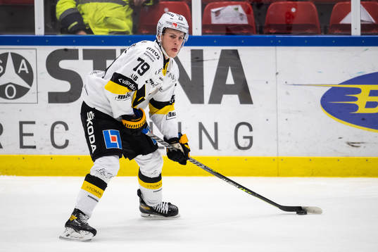 Västerås Gabriel Kangas