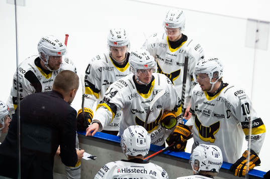 Västerås assisterande tränare Patrik Fagerlund