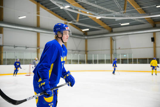 Theodor Niederbach of the Swedish under-20 national ice
