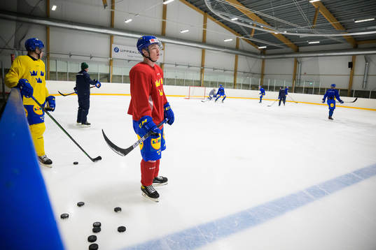 Victor Sjöholm of the Swedish under-20 national ice hockey