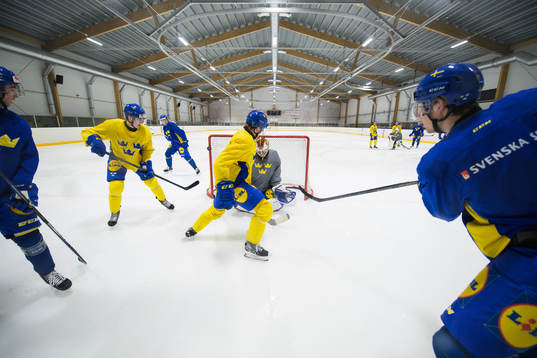 Daniel Ljungman, Joel Nyström, goaltender Jesper Wallstedt