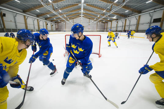 Åke Stakkestad, Anton Olsson, William Eklund and Daniel