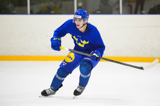 William Eklund of the Swedish under-20 national ice hockey