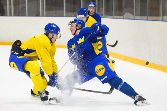 Daniel Ljungman and Theodor Niederbach of the Swedish