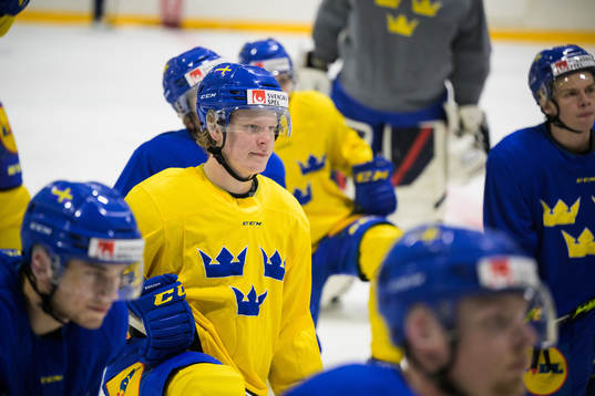 Åke Stakkestad of the Swedish under-20 national ice hockey