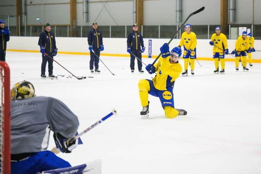 Daniel Ljungman of the Swedish under-20 national ice hockey