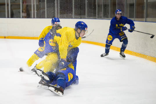 Daniel Ljungman hits Theodor Niederbach of the Swedish
