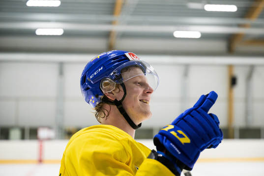 Åke Stakkestad of the Swedish under-20 national ice hockey