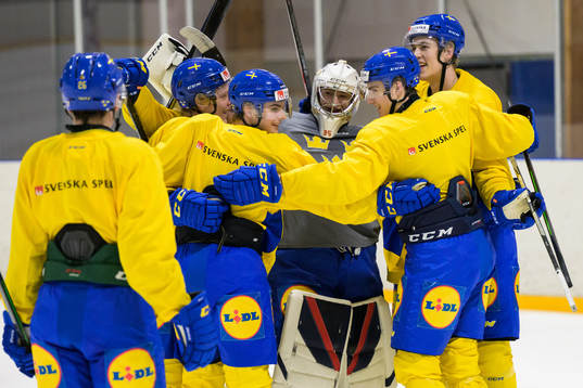 Joel Nyström, Åke Stakkestad, Elliot Ekmark, goaltender