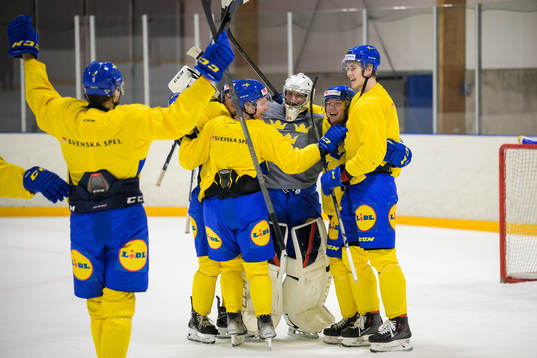 Daniel Ljungman, Elliot Ekmark, Åke Stakkestad, goaltender