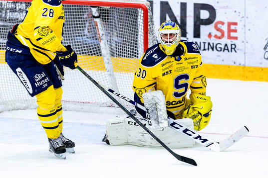 Södertäljes målvakt Fredrik Bergvik deppar