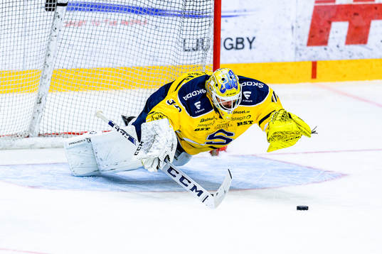 Södertäljes målvakt Fredrik Bergvik