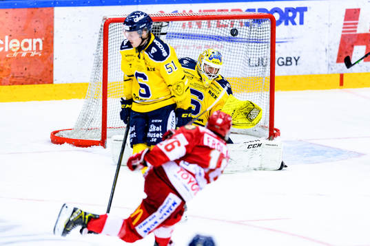 Södertäljes målvakt Fredrik Bergvik