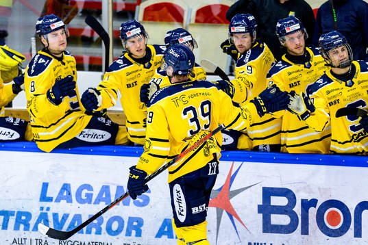 Södertäljes Brett Pollock jublar