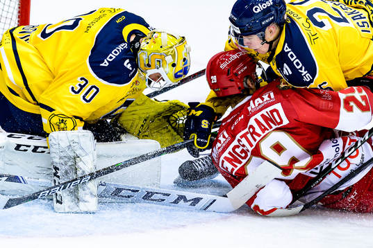 Södertäljes målvakt Fredrik Bergvik när Troja/Ljungbys