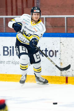 s Daniel Bertov