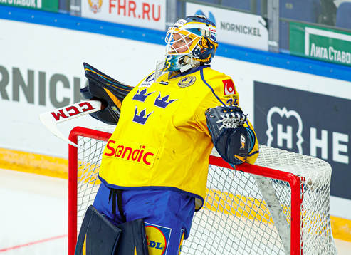 Goalkeeper Magnus Hellberg of Sweden