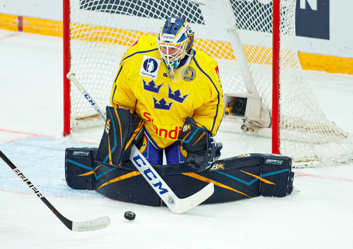 Goalkeeper Magnus Hellberg of Sweden