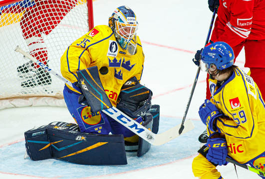 Goalkeeper Magnus Hellberg of Sweden