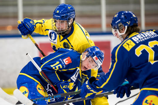 Sverige U18 Leo Carlsson och Sverige U19 Noah Hasa