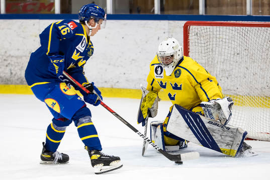 Sverige U19 Theo Jacobsson och Sverige U18 målvakt Gustav