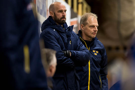 Huvudtränare Anders Eriksen Sverige U18