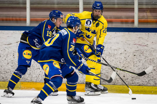 Sverige U18 Alexander Suzdalev och Sverige U19 Gabriel