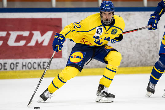 Sverige U18 Alexander Suzdalev