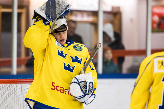 Sverige U18 målvakt Gustav Albihn