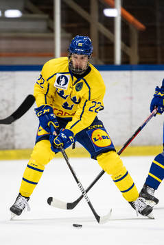 Sverige U18 Alexander Suzdalev