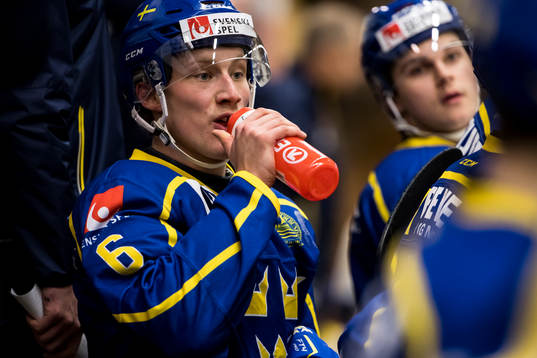 Sverige U19 Theodor Johnsson