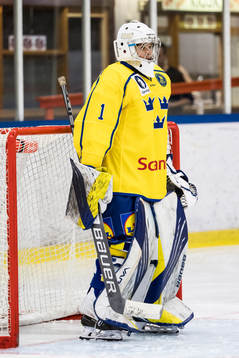 Sverige U18 målvakt Gustav Albihn