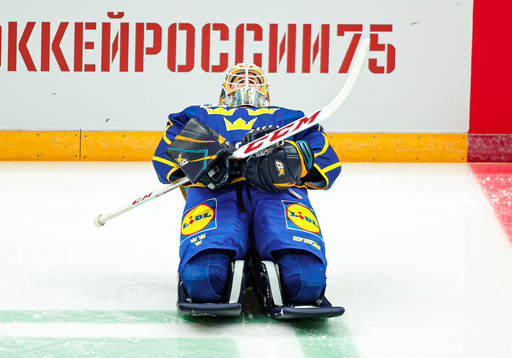 Goalkeeper Magnus Hellberg of Sweden