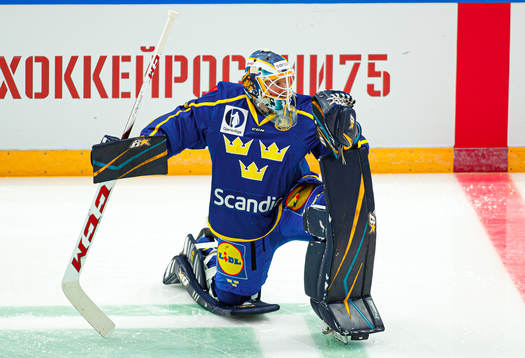 Goalkeeper Magnus Hellberg of Sweden