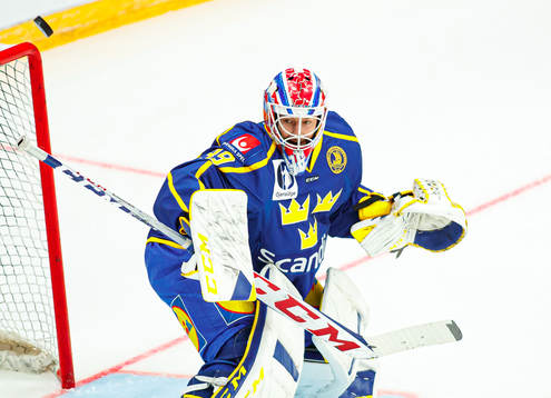 Goalkeeper Adam Reideborn of Sweden