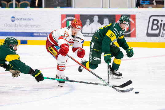 Modos Riley Woods jagad av Björklövens Daniel Rahimi och