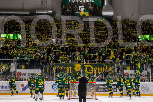 Bläddra bland fler bilder av Ishockey, Hockeyallsvenskan, Björklöven - Modo